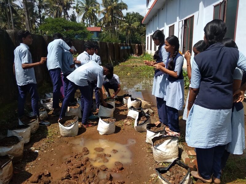 പ്രമാണം:25056 17.jpg