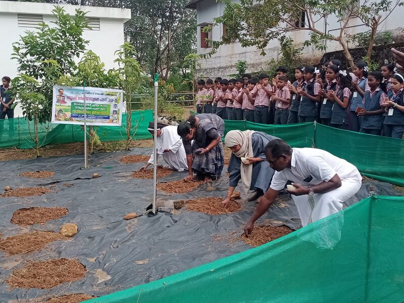 പ്രമാണം:25461-vegetable garden 1.jpeg