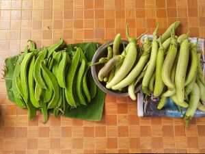 28012 SP 1920 168.jpeg