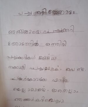 32314-KTM-KUNJ-MERLIN MEJO.jpg