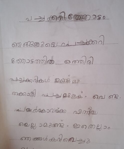 പ്രമാണം:32314-KTM-KUNJ-MERLIN MEJO.jpg