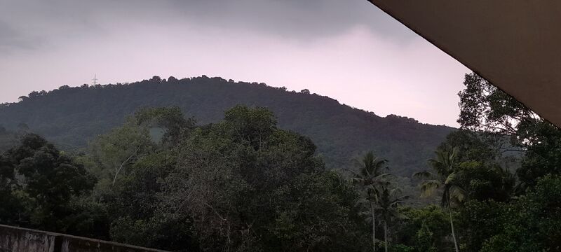 പ്രമാണം:42039 (1).jpg