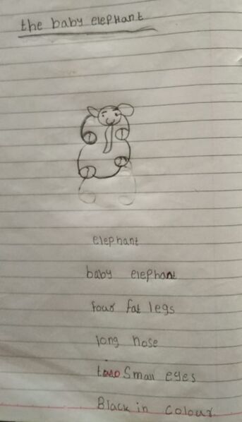 പ്രമാണം:Vidhathri s.jpg