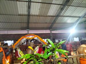 11007 karthikapooja22 10.jpeg