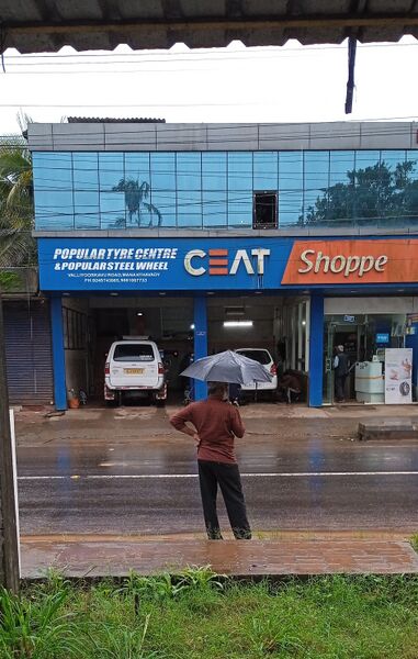 പ്രമാണം:15006 rain13.jpg