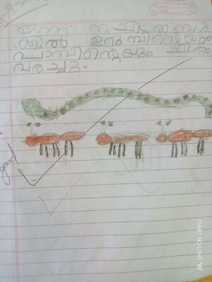 15461-WYD-KUNJ-ADHITHYAN K C.jpg