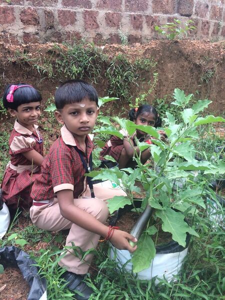 പ്രമാണം:19852-36 (6).jpg