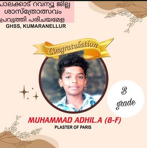 20003 subjilla 1.jpeg