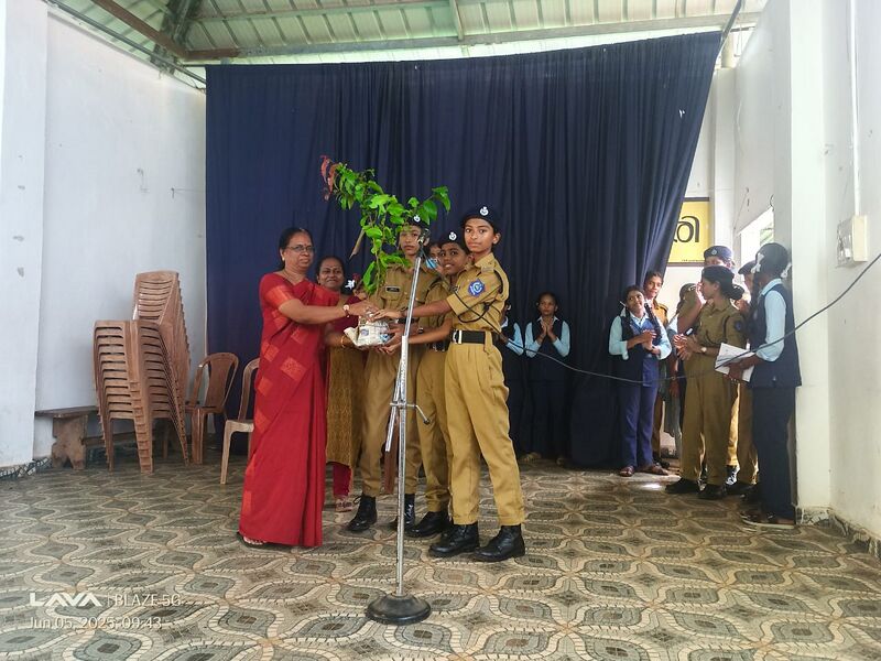 പ്രമാണം:24034 4.jpg