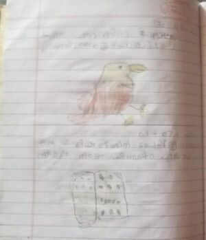 24042-TSR-KUNJ-EVANAGRACE.jpeg