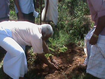 പരിസ്ഥിതിദിനം