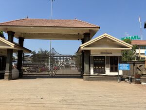 41014 KMML.resized.jpg