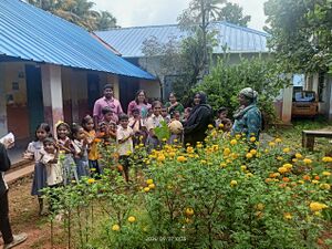 42225-PUMKIN HARVESTING.jpg