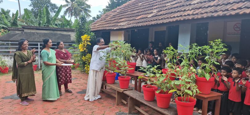 പ്രമാണം:42306 farming.jpg Vegetable Harvest