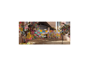 44032 vakkumaram1.png