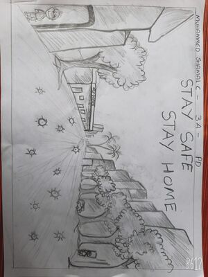 Corona Drawing - PD.jpg