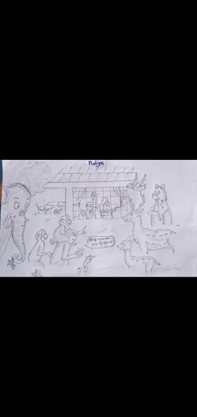 പ്രമാണം:Foto 4.jpg