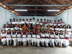 Little kites nsv.jpg