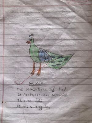 11431-KGD-KUNJ-DYANVEER M K.jpg