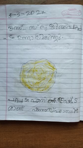 പ്രമാണം:12219-kgd-kunjiyezhuth-shamnaz fathima-1 A.jpg