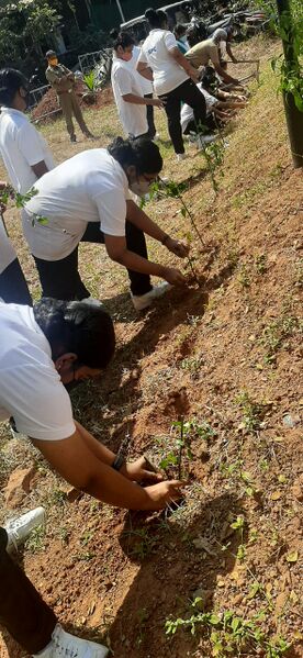 പ്രമാണം:14002 work.jpeg