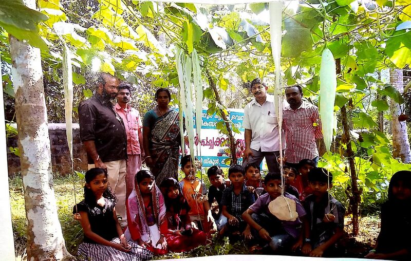 പ്രമാണം:19413 agri 4.jpeg