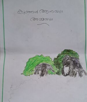 19801-MLP-KUNJ-MUHAMMED ABAN.jpg