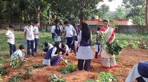 20161208 163216371.resized.jpg