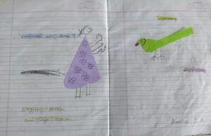 26217-EKM-KUNJ- Amyee.jpg