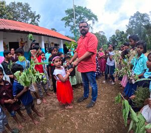 31262-valavoor -tree 3.jpg