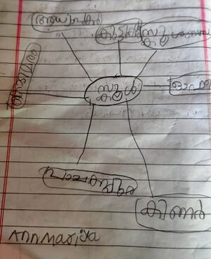 32441-KTM-KUNJ-ANN MARIA.jpg