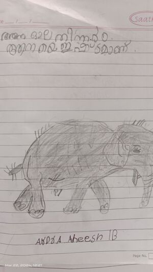 34331-ALP-KUNJ-ARDRA ANEESH 1B (1).jpg