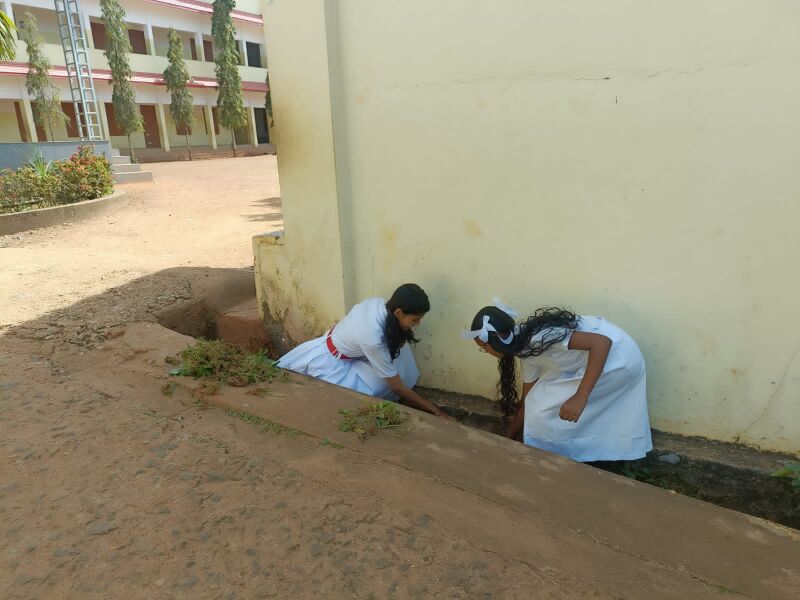 പ്രമാണം:44018GJ 18.jpg