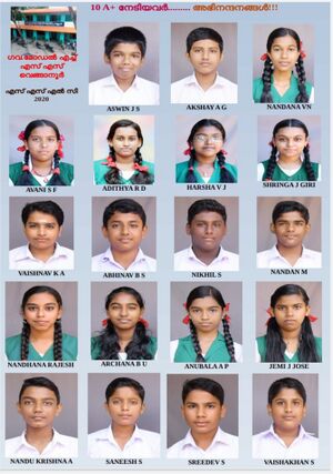 44050 22 15 e19.jpeg