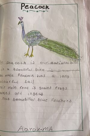 48465-MLP-AARAV M A.jpg