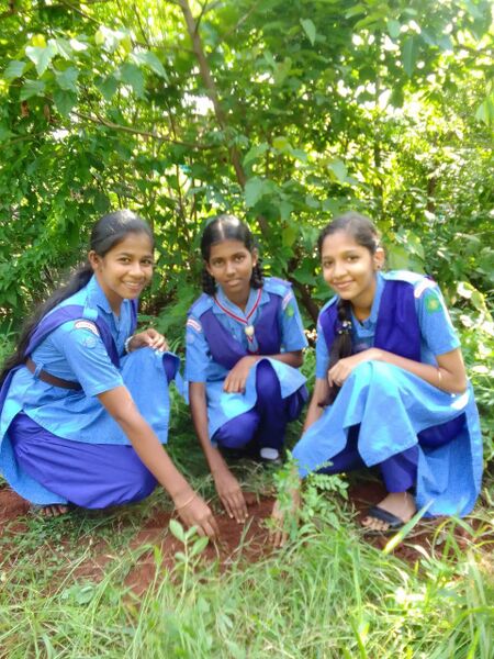 പ്രമാണം:11005-JUNE 5.jpg