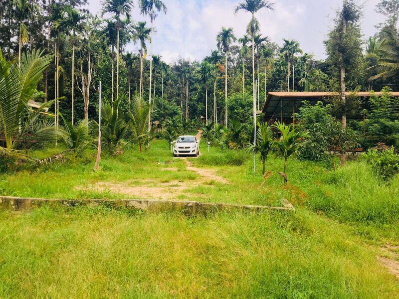 പ്രമാണം:11021 FieldTrip.jpg