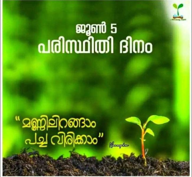 പ്രമാണം:15366plant1.jpg