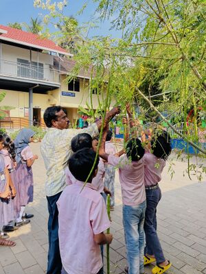 18351 vegetable garden.jpeg