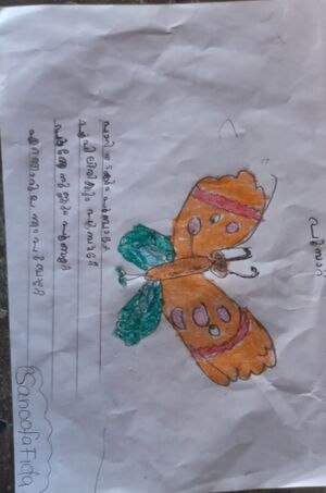 19608-MLP-KUNJ-SANOOFA FIDA.jpg