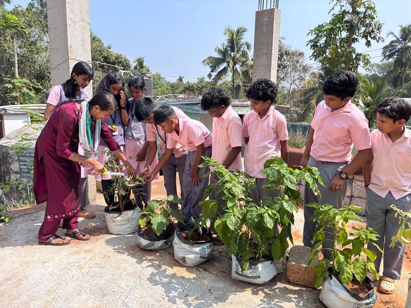 പ്രമാണം:23457 vila3.jpeg