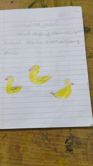 28522-EKM-KUNJ-MIDHILA BAIJU.jpg