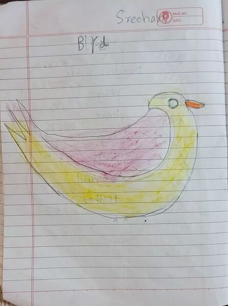 പ്രമാണം:33533-KTM-KUNJ-SREEHARI R NAIR.jpg