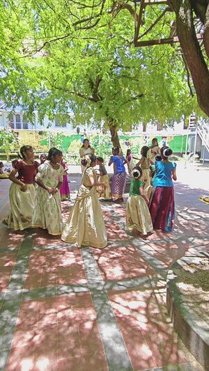 35330 ALP ONAM12.jpg