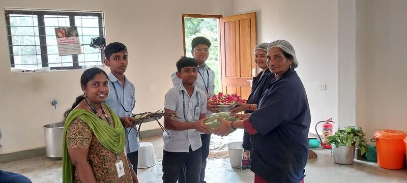 പ്രമാണം:43004seed cheera.jpg