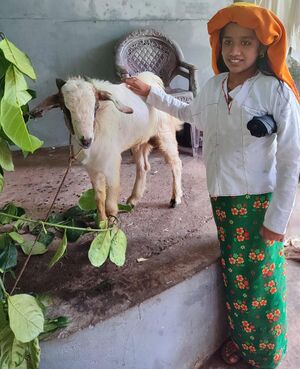 47045-Basheer Day.jpeg