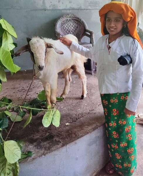 പ്രമാണം:47045-Basheer Day.jpeg