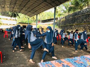 47089 nss difence.jpeg