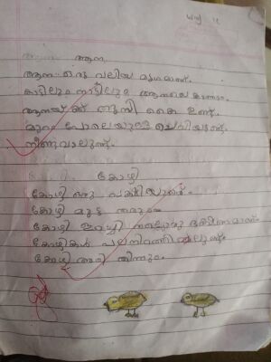 48137-MLP-Danya k.jpeg