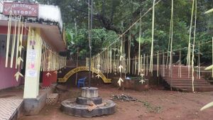 BS21 TSR 24658 1.jpg